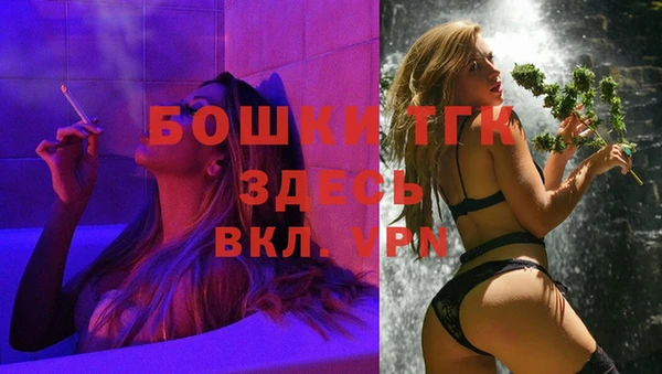 стаф Алексеевка