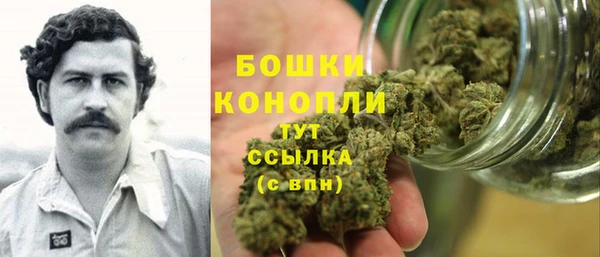 гидра Армянск