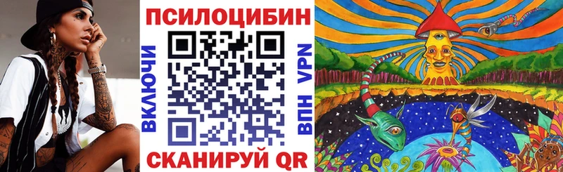 Галлюциногенные грибы прущие грибы  Александровск-Сахалинский 
